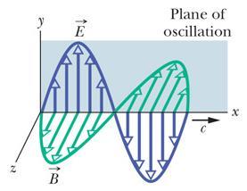 Polarizzazione dell onda elettromagnetica Se i campi oscillano lungo un asse specifico (come in figura il campo elettrico lungo y) si dice
