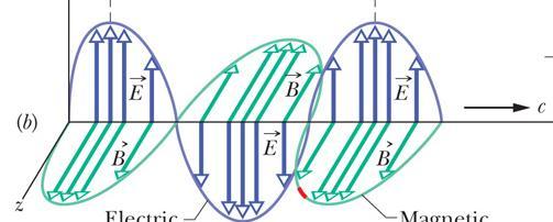 Onde sferiche e onde piane In generale le onde elm emesse da una sorgente puntiforme S si propagano