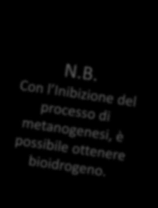 DIGESTIONE ANAEROBICA 1. DISINTEGRAZIONE: riduzione delle grosse e complesse molecole del substrato iniziale in carboidrati, proteine e lipidi.