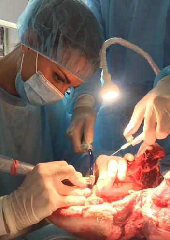 Master triennale in Implantologia Il Master triennale in Implantologia rappresenta un percorso formativo completo nel campo della chirurgia e della protesi implantare.