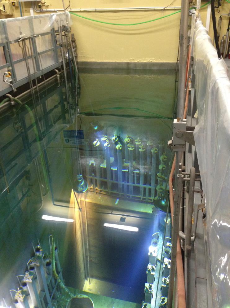 STOCCAGGIO A SECCO DEL COMBUSTIBILE DI ELK RIVER La piscina dell Impianto ITREC attualmente ospita 64 elementi di combustibile irraggiato Elk River, del tipo Uranio- Torio: 48 sono tutt ora nella