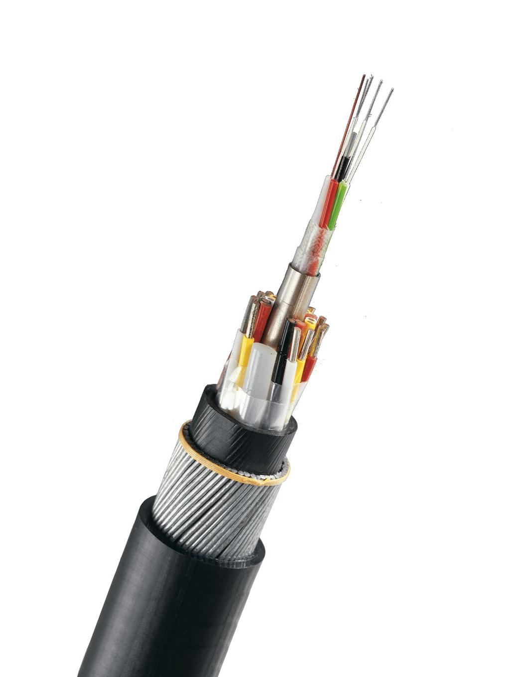 SPECIAL CABLES The continuous technological evolution led to an increase of the demand of customized products fulfilling specific requests.