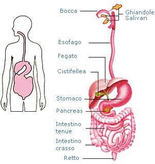 DIPARTIMENTO DI SCIENZE E TECNOLOGIE Pagina di approfondimento 2.