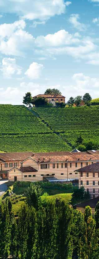 I Love Barolo 1 Barolo