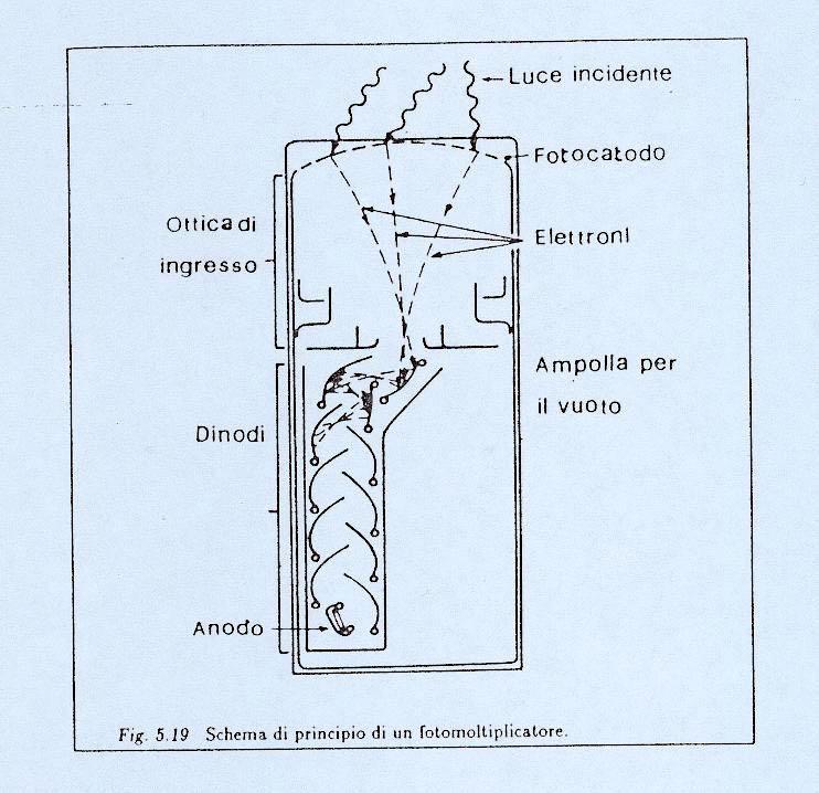 III. Fotomoltiplicatore Il fotomoltiplicatore (fig.5.