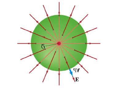Esempio: Qual e il flusso del campo elettrico F E prodotto da una carica di un 1.0 C posta al centro di una sfera di 1.0 m?