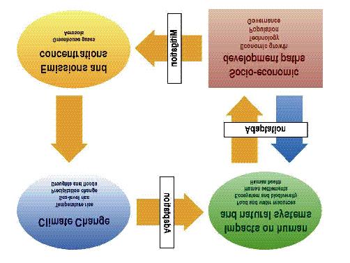 Schema complessivo