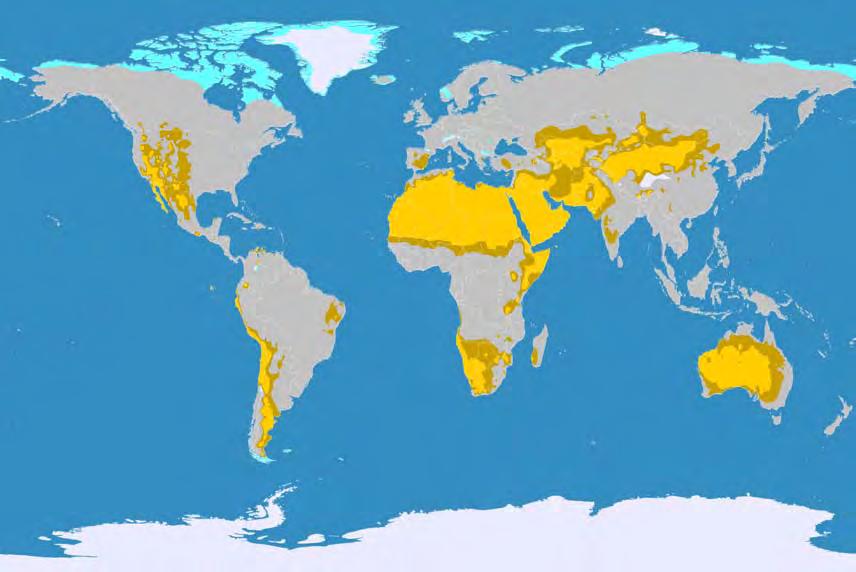 precipitazioni difficilmente superano i 250 millimetri l'anno e il