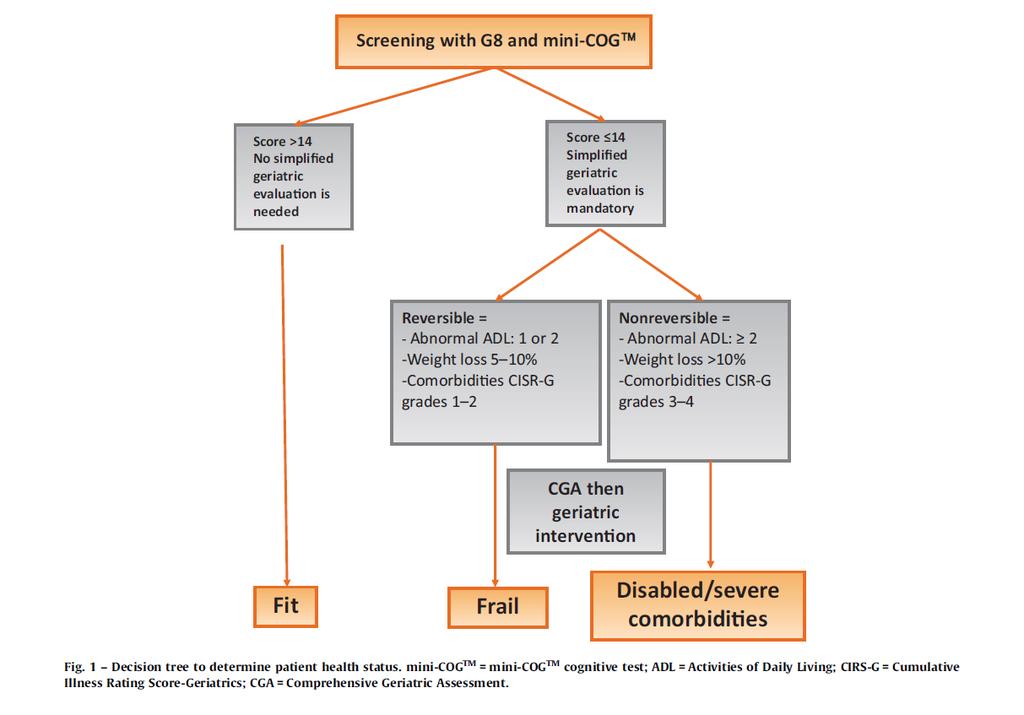 STANDARD TREATMENT PERSONALIZED TREATMENT BSC