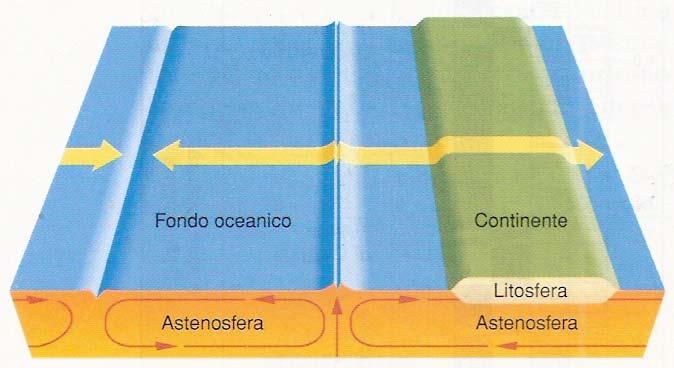 L ipotesi di Hess Moti convettivi nel mantello: il materiale sale in corrispondenza delle dorsali (creazione di