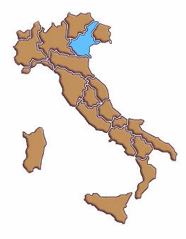 EUROPE DIRECT VENEZIA- VENETO 36 sportelli presso 17 istituzioni in tutte le 7 province venete: Regione Veneto Province di Venezia, Belluno, Padova, Rovigo, Treviso