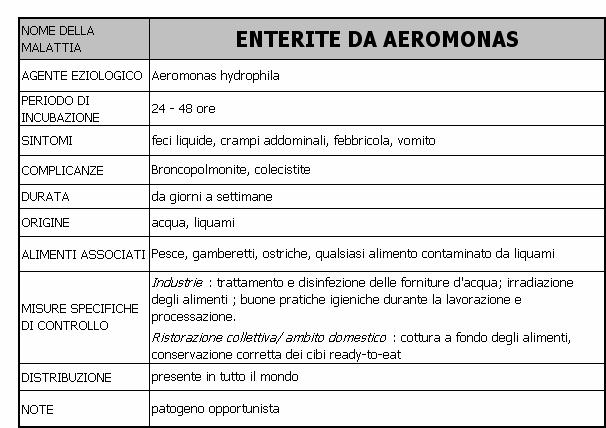 98 25.8.2010 - BOLLETTINO