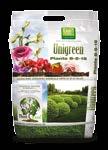 FERTILIZZANTI UNIGREEN BIO 7 Tappeti 30-0 gr/mq Fertilizzante organico di alta qualità utilizzabile sia per tappeti erbosi ornamentali che per fioriere e cespugli fioriti.