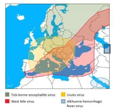 Distribuzione geografica di arbovirus associati a