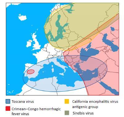 Distribuzione geografica di arbovirus associati a