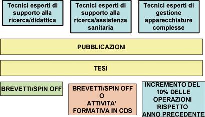 A partire dal 2006, l Ateneo ha sviluppato una politica gestionale del personale tecnico con responsabilità di strutture basata sul riconoscimento, non solo delle competenze tecnico-professionali ma