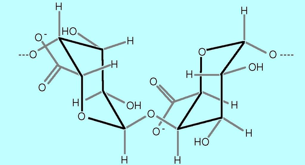 PECTINA Due molecole di Acido-α-D-Galatturonico Sono polimeri lineari, costituiti in prevalenza da acido