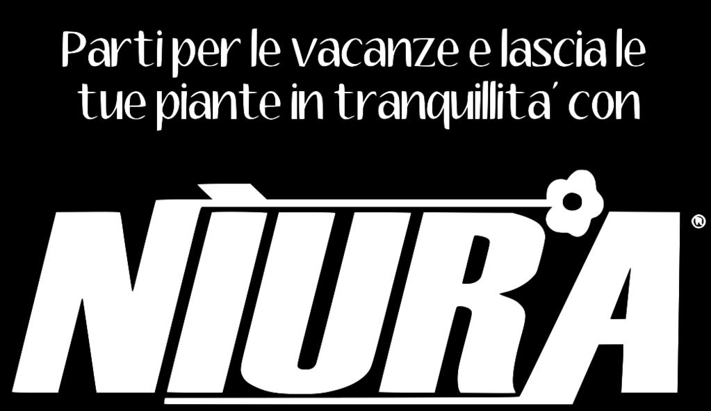 vuoto. Cospargere qualche ml di Niura sopra il terriccio. Cospargere qualche cm di terriccio / torba nel vaso. Cospargere qualche ml di Niura sopra il terriccio. Continuare le due operazioni fino a portare l'altezza del terriccio / torba fino al punta dome metteremo a dimora la piantina.