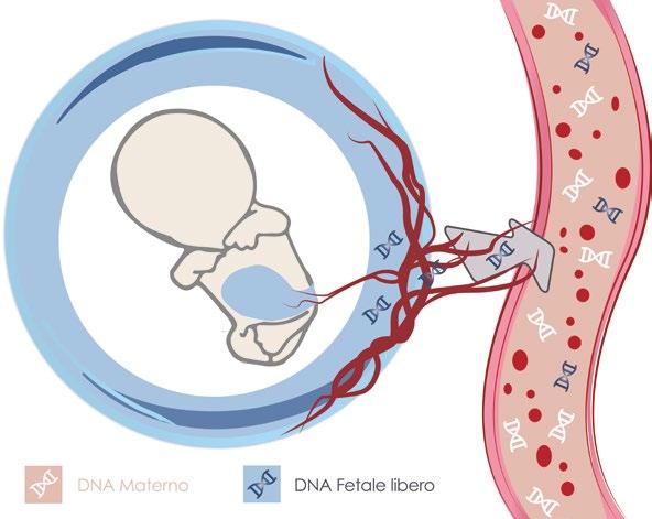 Bioscience Genomics è uno spin off accademico partecipato dall Università degli Studi di Roma Tor Vergata e da Bioscience Institute Spa, in collaborazione esclusiva con BGI Europe.