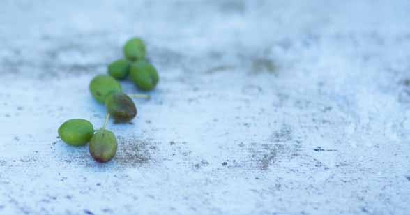 Molti anni fa questa era un azienda tradizionale, legata all allevamento, dove gli oliveti affiancavano pascoli e distese di cereali.