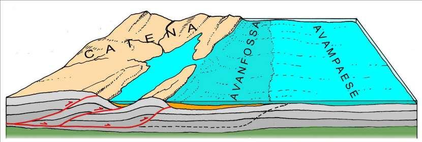 Evoluzione dei Monti Lucretili Con l orogenesi appenninica gli antichi sedimenti marini calcarei che