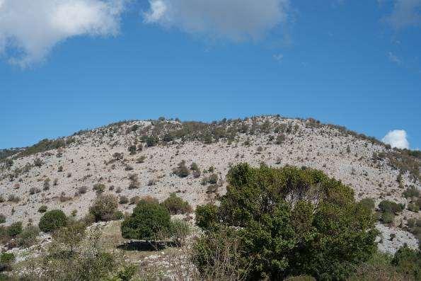 Localizzazione e territorio Territorio Il territorio dei Monti Lucretili, situati a nord-est di Roma, è arido a causa della mancanza d acqua in quanto le rocce