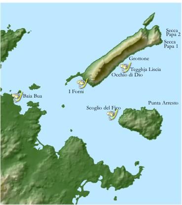 Il monitoraggio Sono state realizzate mappe georeferenziate in scala 1:1000 dei sei siti sui quali si svolge il 72% dell intera attività subacquea nell AMP.