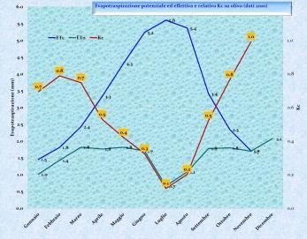 CNR IBIMET Bologna in collaborazione con SIAS Fornire i dati di evapotraspirazione ed i coefficienti colturali in colture di kiwi,