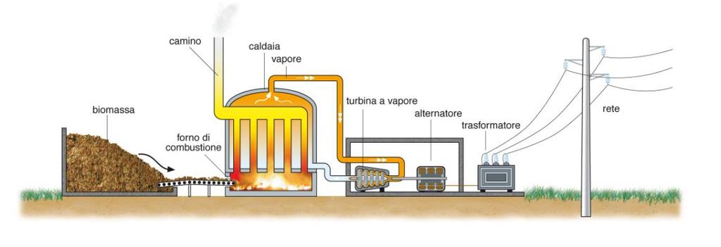 Impianti alimentati a biomassa Per biomassa si intende la frazione biodegradabile dei prodotti, rifiuti e residui di origine biologica provenienti dall agricoltura (comprendente sostanze vegetali e