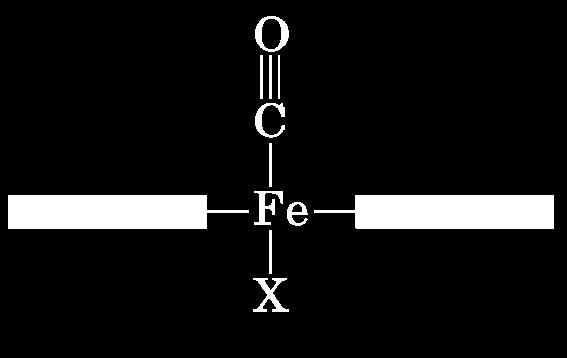EME Il Fe 2+ dell eme può