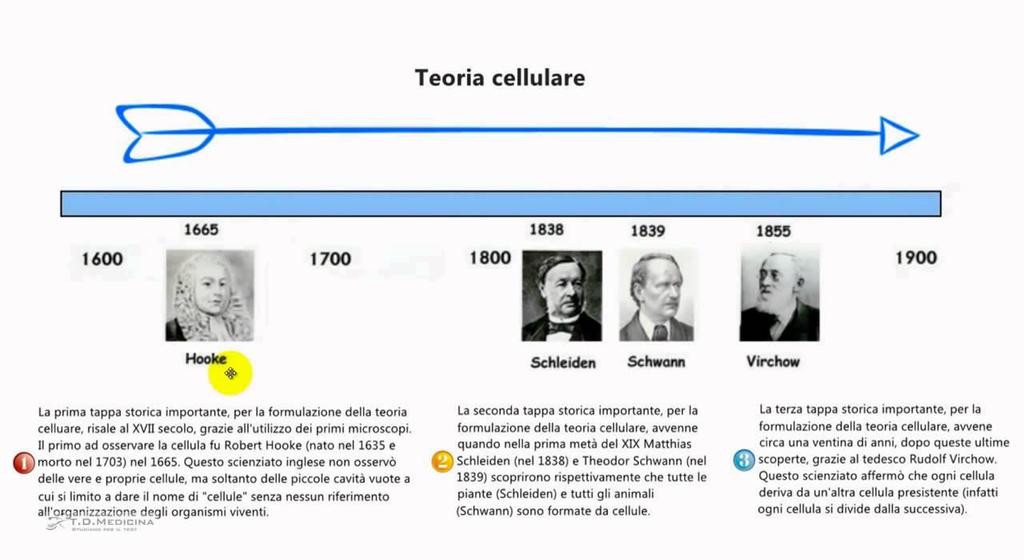 1838 Tutti gli organismi sono costituiti da cellule e da