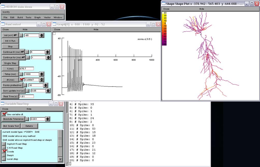 introduzione» NEURON, software per la simulazione