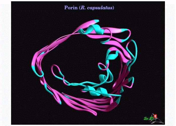 Proteine e peptidi di membrana e della superficie