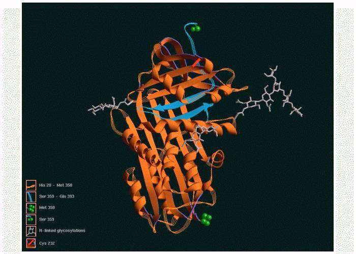 Proteine multidominio per dominio si intendono quelle parti di peptide in una proteina capaci di generare una struttura tridimensionale
