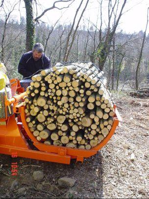 50% dell energia rinnovabile legata all uso delle biomasse forestali