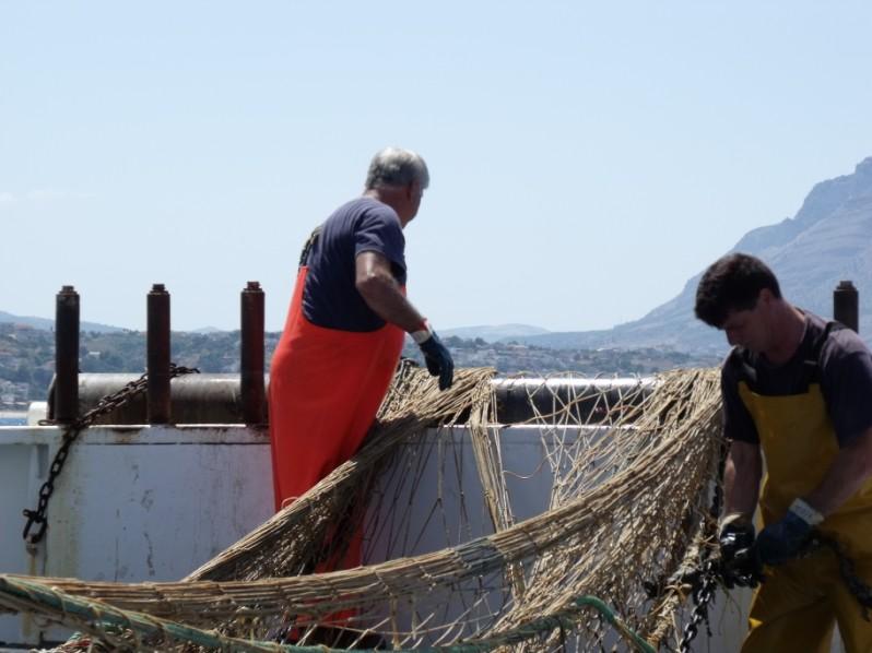 In pratica il comportamento del pesce pelagico in prossimità di reti da traino (avoiding behaviour) è quello di rifugiarsi sul fondo muovendosi appunto dalla colonna verso il fondo.