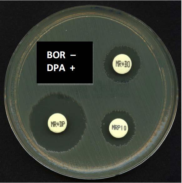 DPA Test di sinergia mediante