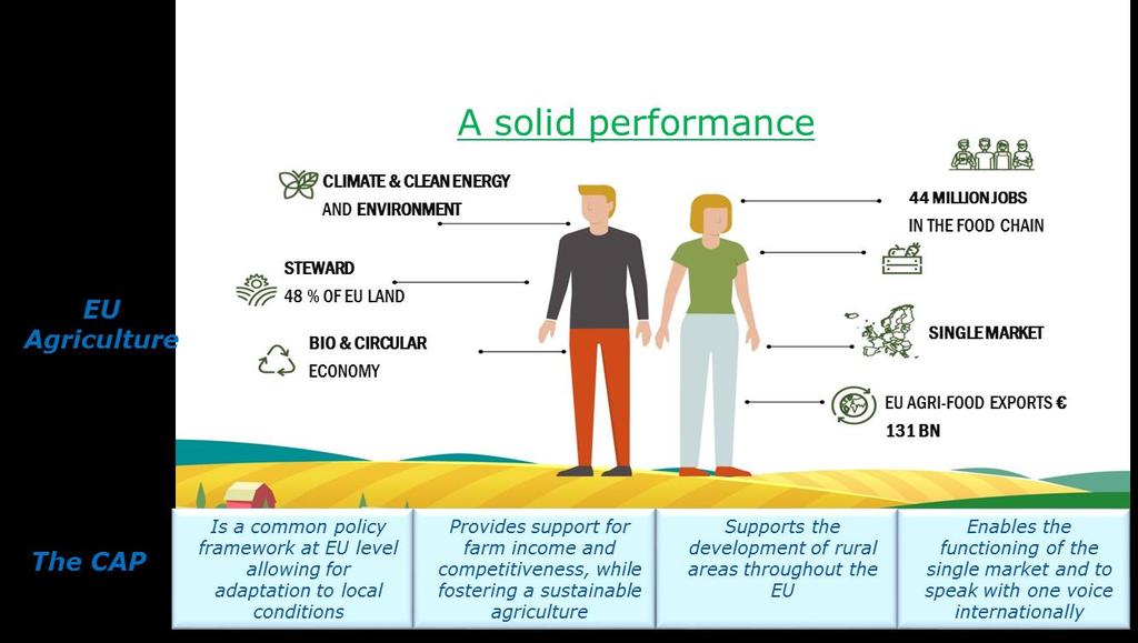 Il ruolo della PAC nel sostegno dell agricoltura 7 milioni di aziende agricole 48 % del territorio dell'ue