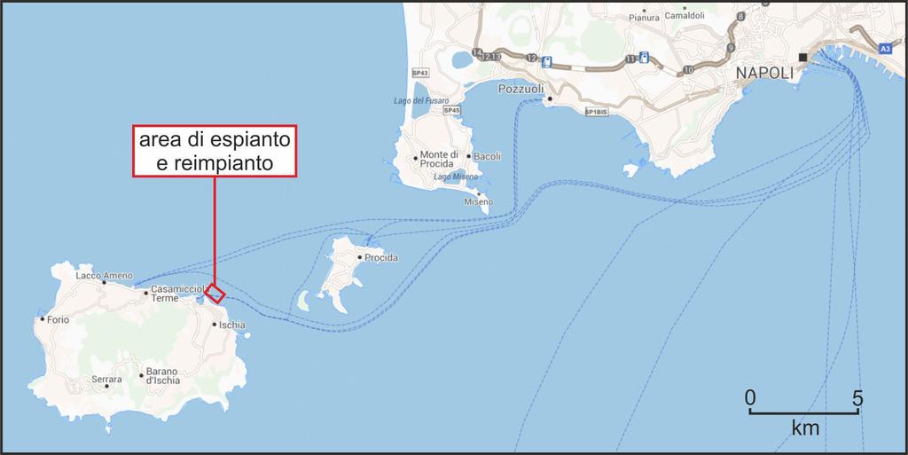 Ischia Trapianto effettuato nel 2008 mediante cornici in cemento Superficie 1.