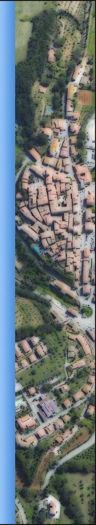 Comune di Bibbona Provincia di Livorno Variante Semplificata al Regolamento Urbanistico artt. 30 e 32 della L.R. 65/2014 Modifica della zona ARt in via del Mare a Marina di Bibbona Geom.