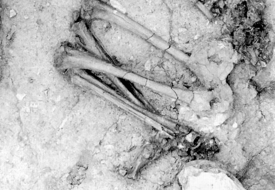 La sepoltura risale a circa 14 mila anni fa.
