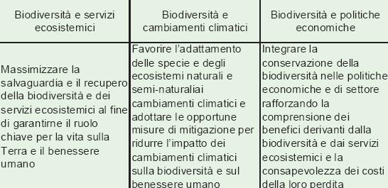 Bozza Strategia Nazionale