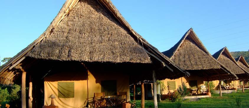 Il Flamingo Hill Camp si trova sul Lago Nakuru e offre solamente 25 tende