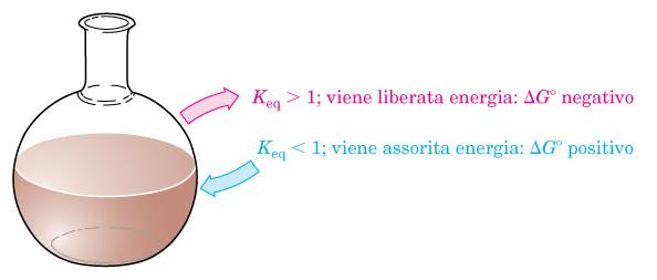 L elettrofilo può essere carico positivamente o neutro La regola dell ottetto deve sempre essere rispettata: se una coppia di elettroni si sposta verso un atomo che ha già l ottetto, un altra coppia