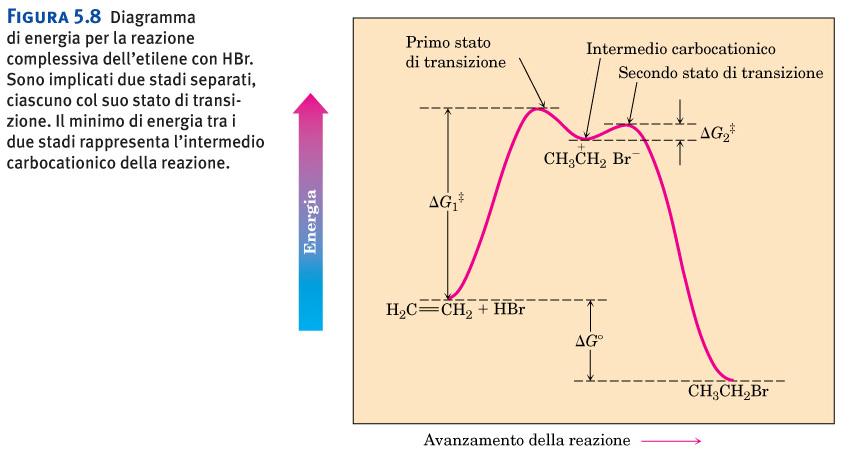 Un intermedio ha i legami completamente formati Una reazione esoergonica ha uno stato di transizione precoce, una endoergonica uno tardivo.