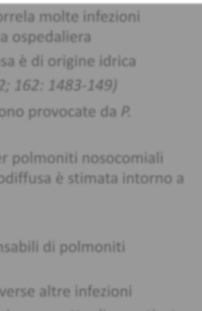 Arch Intern Med. 2002; 162: 1483-149) il 20 % delle polmoniti nosocomiali sono provocate da P. aeruginosa per 4.