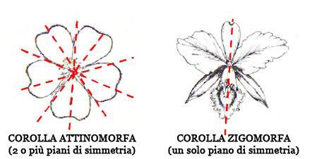 Elementi