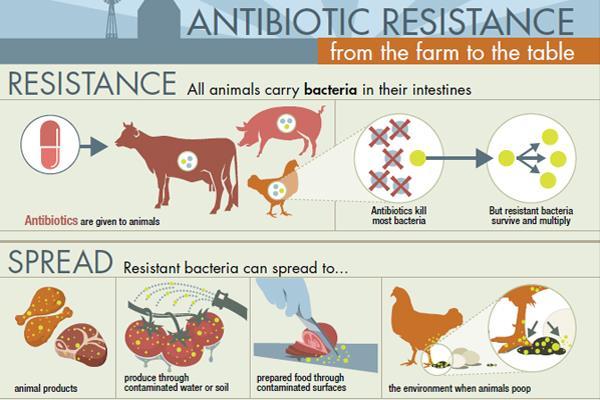 (FWD-Net): raccoglie informazioni sulla diffusione di AMR in batteri isolati dalla filiera alimentare.