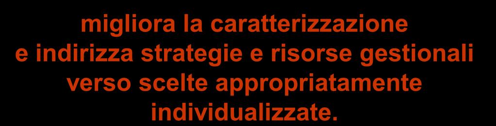 e indirizza strategie e risorse gestionali