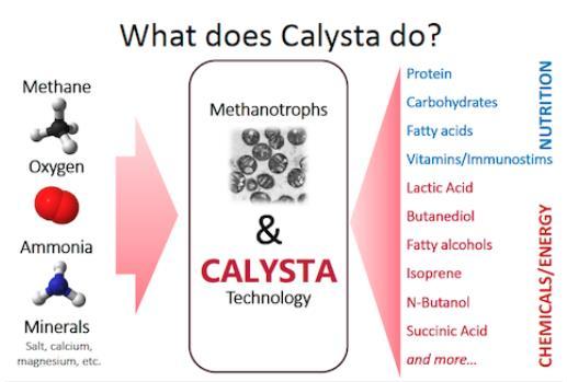 Dal Biometano con la metabolic